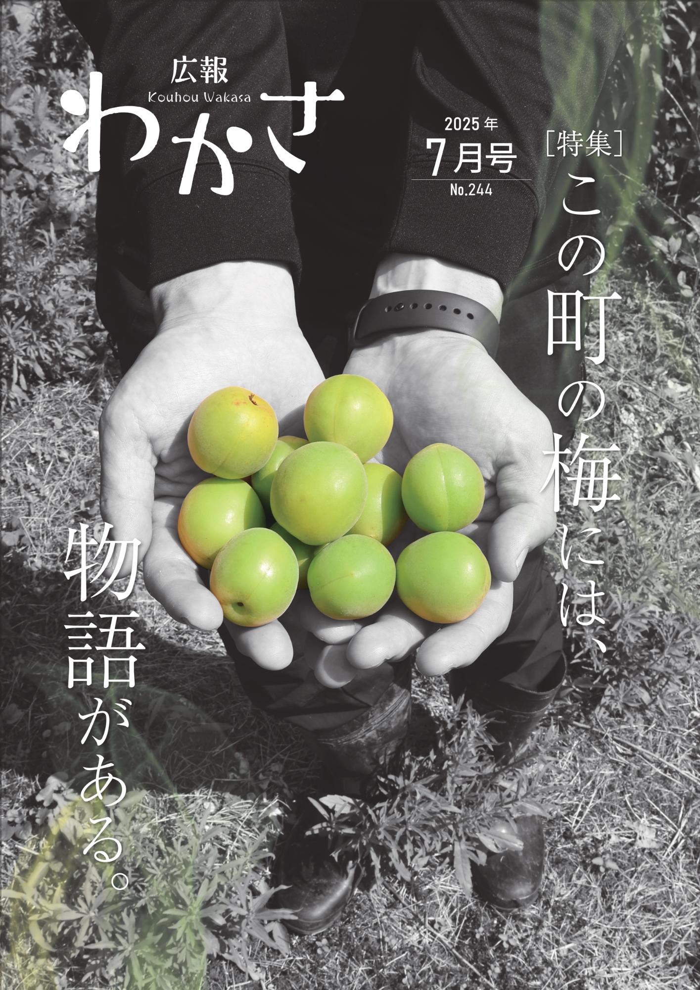 広報わかさ vol244表紙
