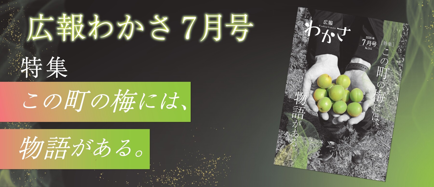 広報わかさ7月号バナー2