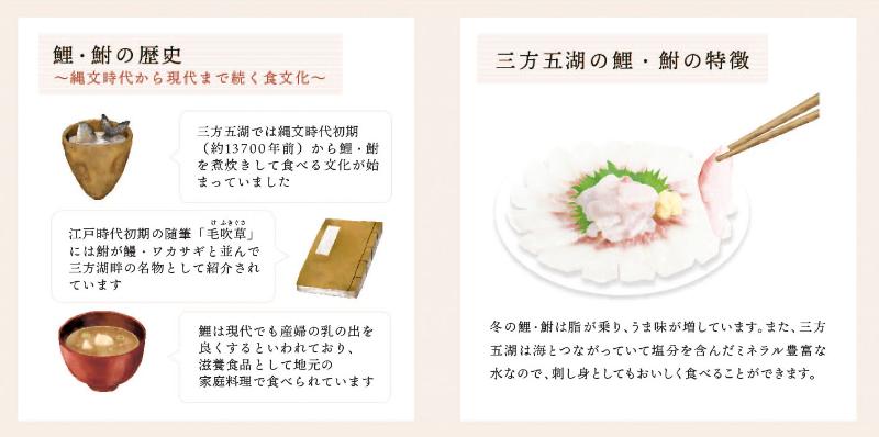 フナコイ3