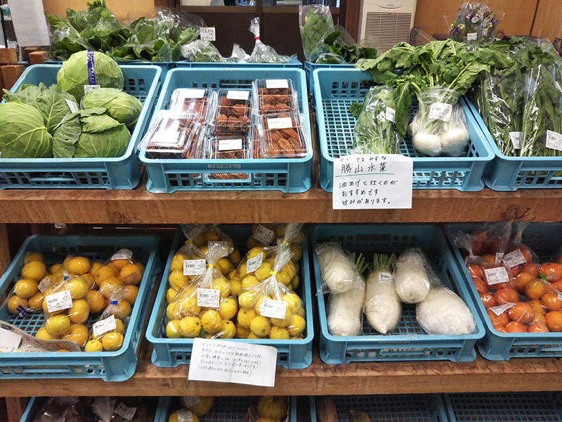 陳列されている野菜(大根や葉物類)の写真