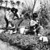 平成27年度 「昔の水辺の風景」絵画作品展の水辺で働く昔の人々の写真