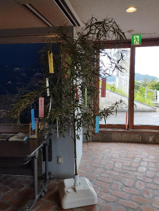 tanabata