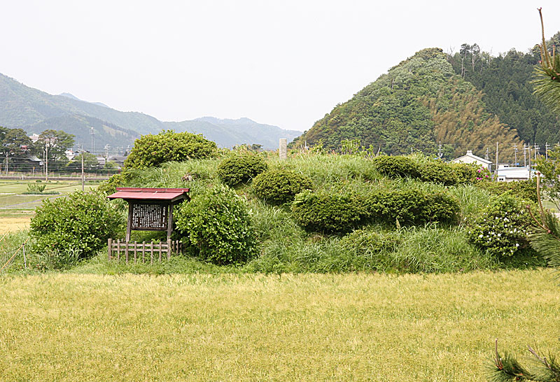 山々と緑に囲まれた中に草が生い茂って盛り上がっている部分(古墳)と、その前に古墳の説明が書かれた看板が写っている写真(西塚古墳)