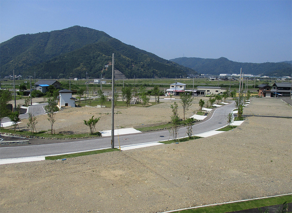 青い空の下に大きな山と、舗装された道路の両側に砂地の分譲地が広がっている写真