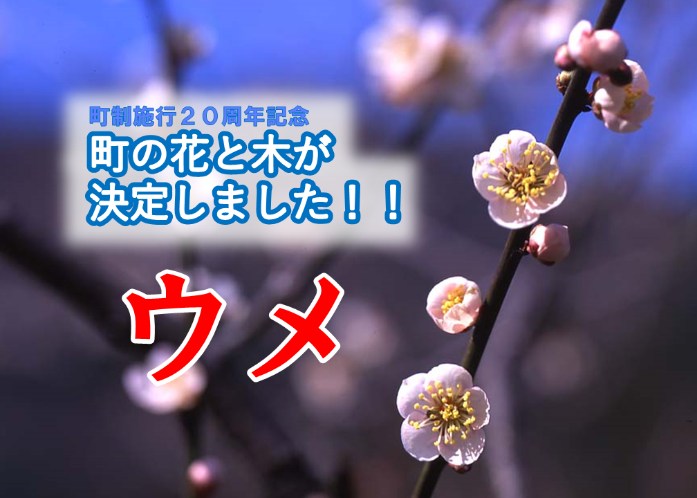 ume