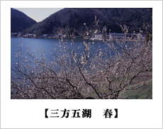奥に緑色の山と青い三方五湖、手前にピンク色の花が咲き始めた桜の木が写っている春の三方五湖の風景写真