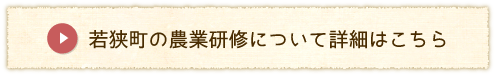 若狭町の農業研修について詳細はこちら（若狭町の農業研修についてのページへリンク）