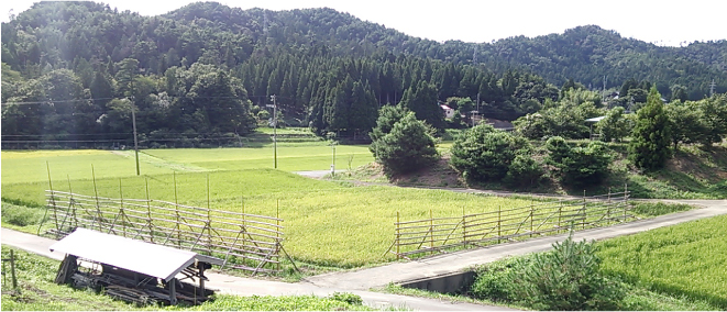 山脈を背景に広がる広大な田んぼとあぜ道の写真