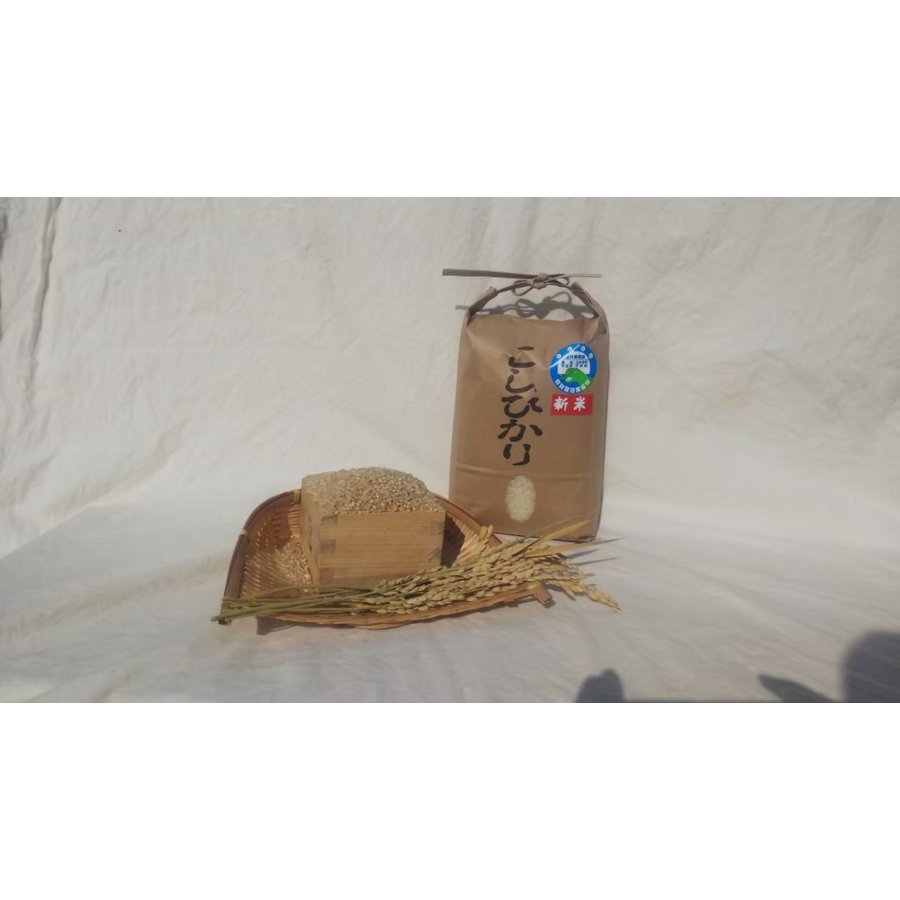 袋詰された特別栽培米コシヒカリ5キロの写真
