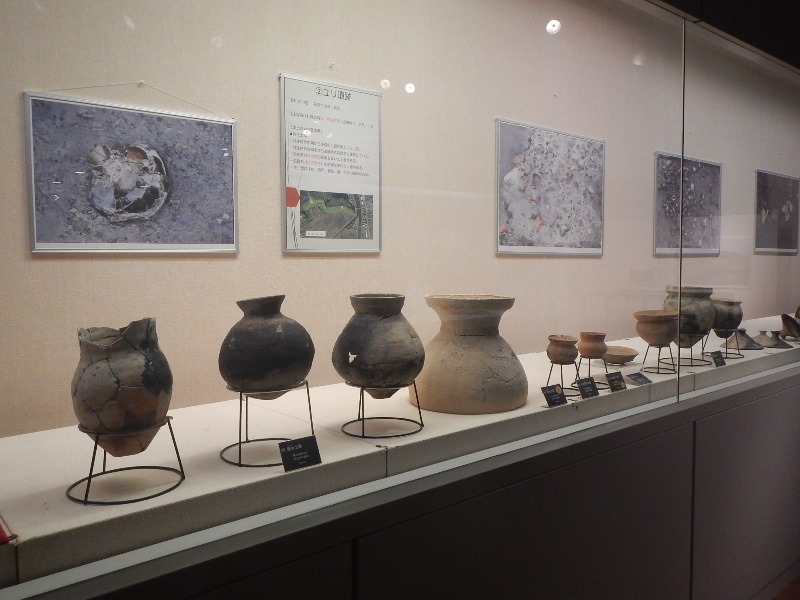 若狭三方縄文博物館に展示されているたくさんの土器の写真