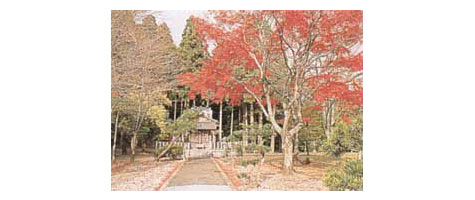 松木神社の正面写真