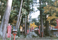 高い木々が並び赤い灯籠や赤いのぼりが複数立ち並んでいる写真
