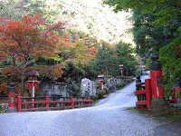 周りの木々が紅葉してきており赤の柵が設置されている緩やかな坂道の参道の写真