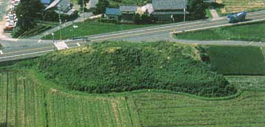 田んぼと道路に挟まれた所にある緑で覆われた十善の森古墳の写真
