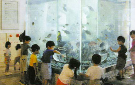 手を入れられるようなものが付いた縦長の大きな水槽の周りに子供たちが集まっている写真