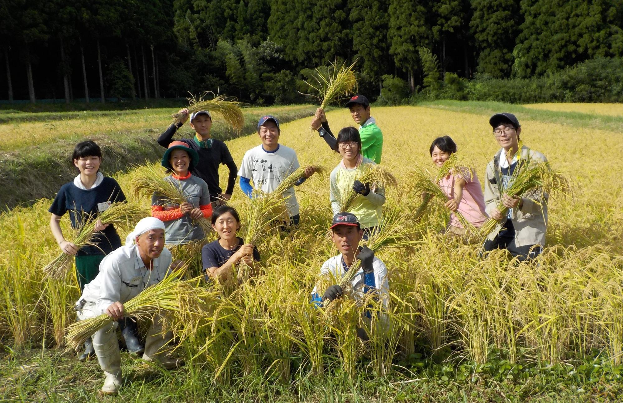 収穫した稲をもった男女11人の田んぼでの集合写真