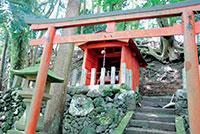 森の中斜面に建てられた木製の赤い鳥居と、その奥にある数段の階段を登ったところにある小さな赤いお社の写真