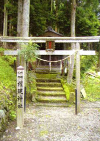 木々に囲まれた社が奥に建っており、手前に石造の鳥居と権現神社と書かれた石柱が建っている写真