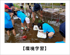 水色の服を着て赤白帽子を被った子供数人と大人数人が足首ほどまで溜まっている水の中でしゃがんで何かを採取している環境活動の様子の写真