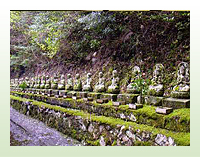 緑の苔のようなものが生えた階段状の場所に複数の石仏が並んでいる写真