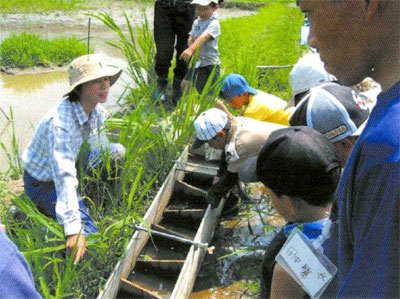 水田魚道を見ながら子供たちに説明をしている写真