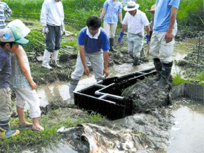 複数人で田んぼに水田魚道を設置している写真